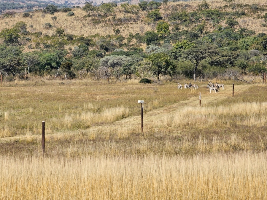 0 Bedroom Property for Sale in Silver Creek Gorge Estate North West